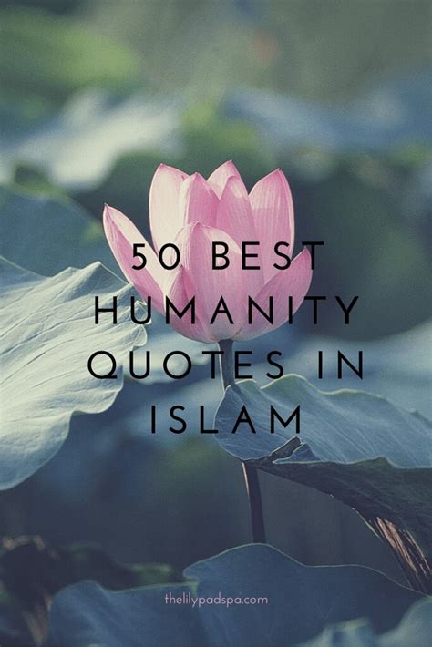 Humanity In Islam Quotes