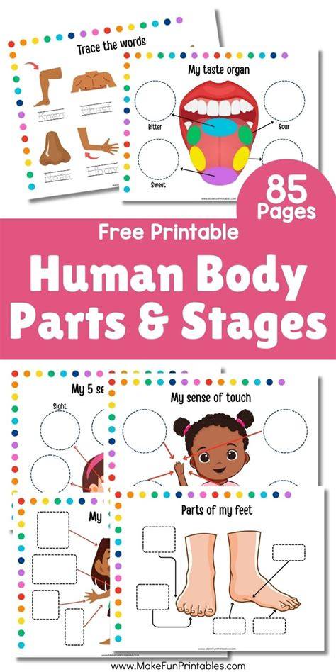 Humans Printables