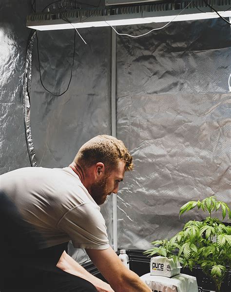 8 Effective Ways to Increase Humidity in Your Grow Tent