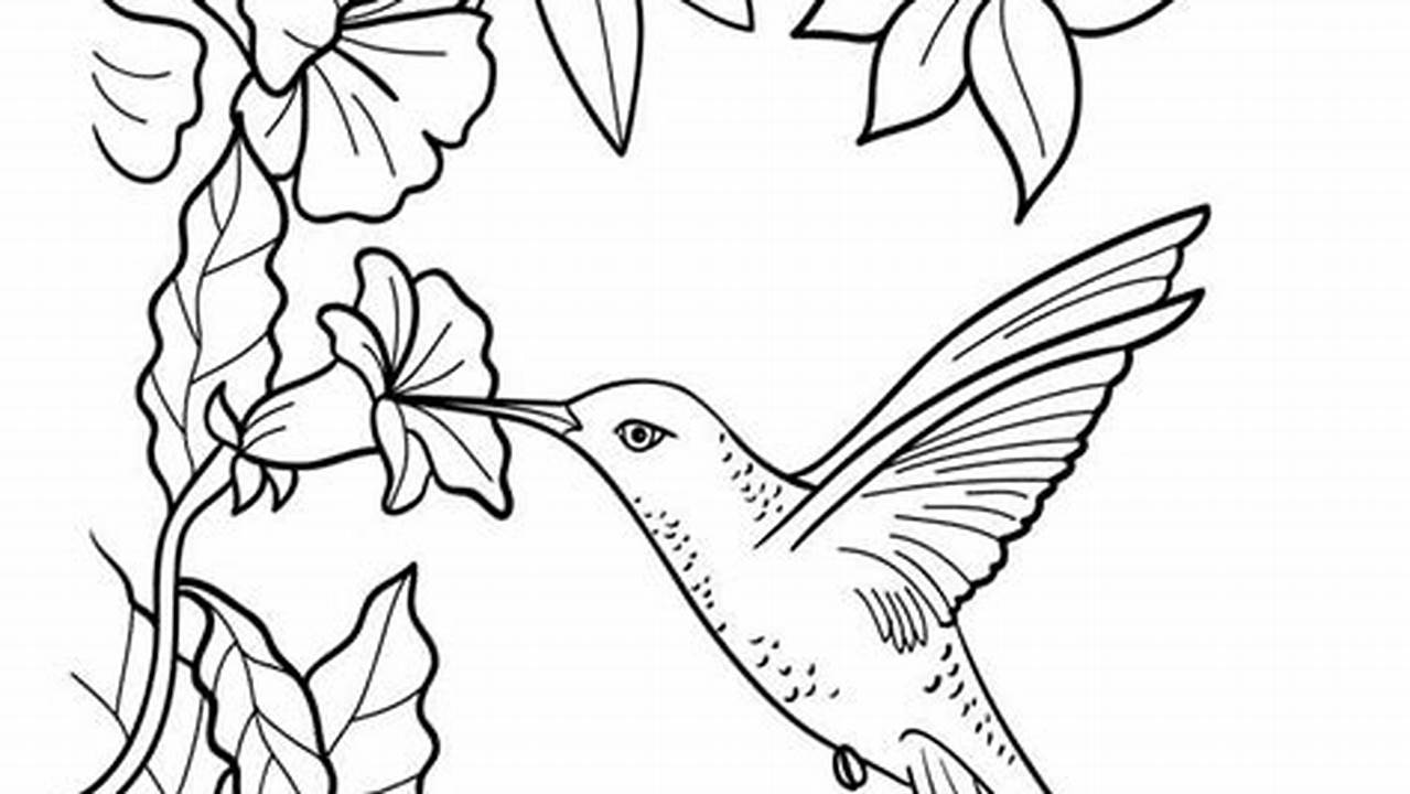Unveiling the Enchanting World of Hummingbird Coloring Pages