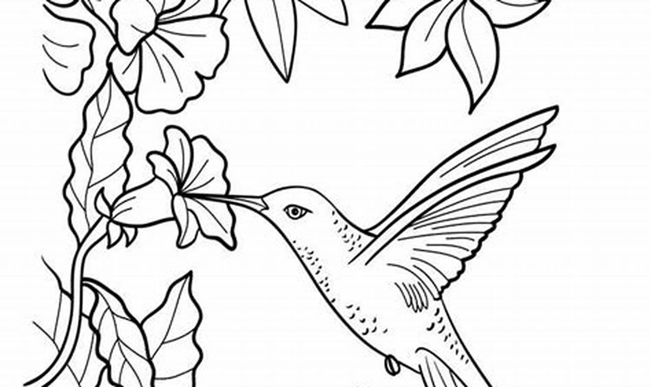Unveiling the Enchanting World of Hummingbird Coloring Pages