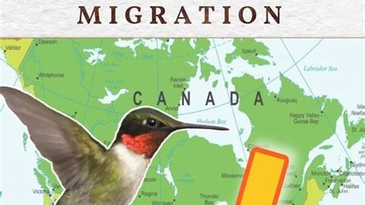 Hummingbird Fall Migration Map 2025