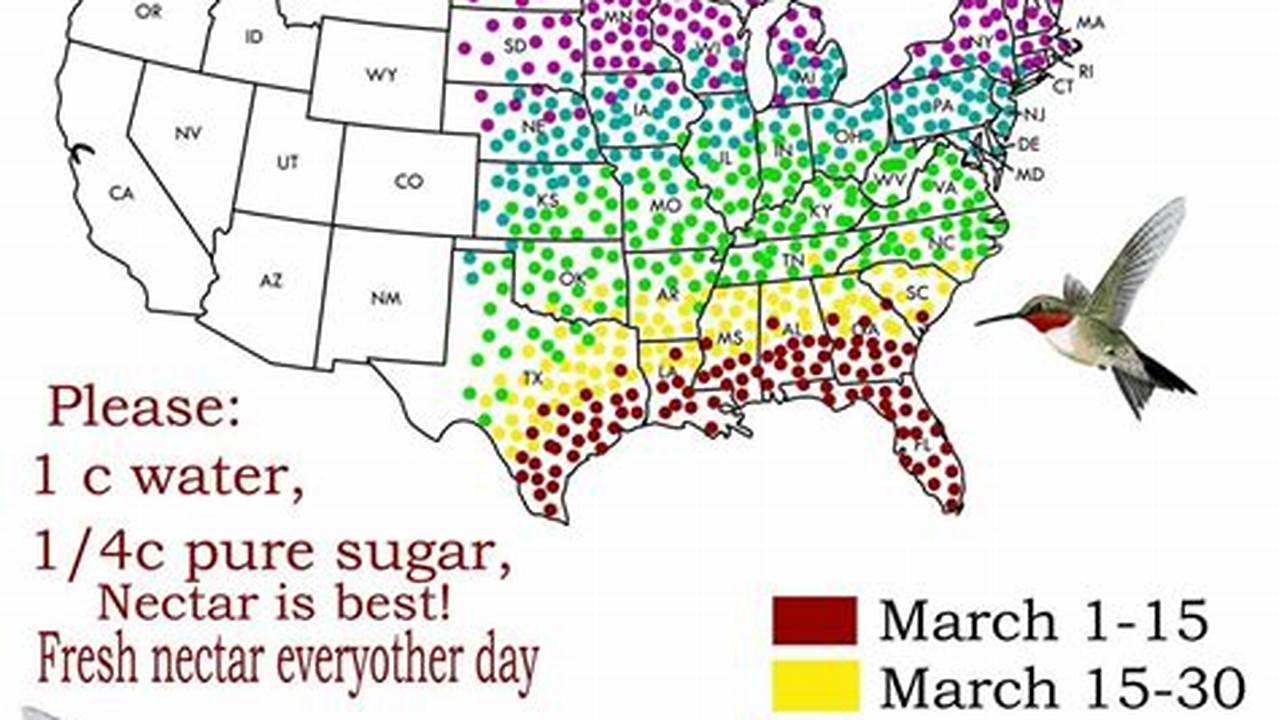 Hummingbird Migration Spring 2024 Map