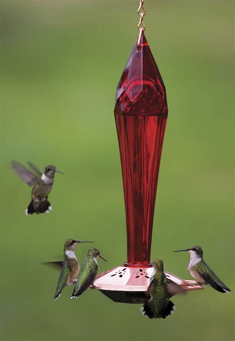 Hummingbird feeders for a continuous nectar supply
