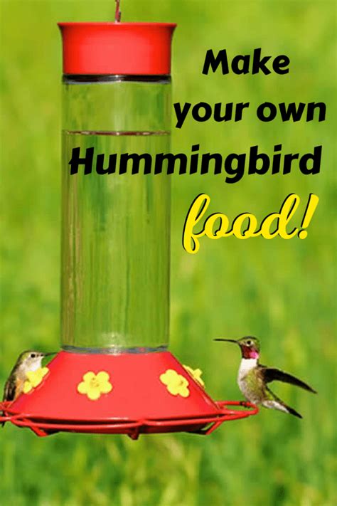 Hummingbird food ingredients