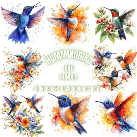 Download Hummingbirds Commercial Use For Crafts