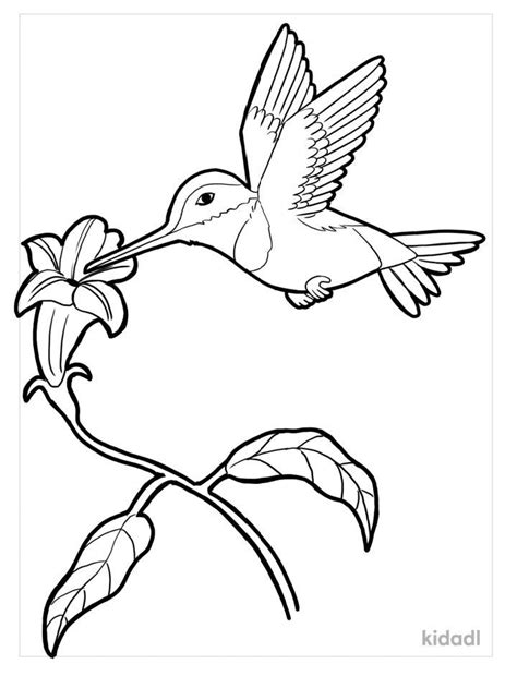 Download Hummingbirds Printable
