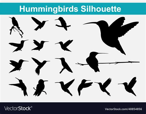 Download Hummingbirds Silhouette
