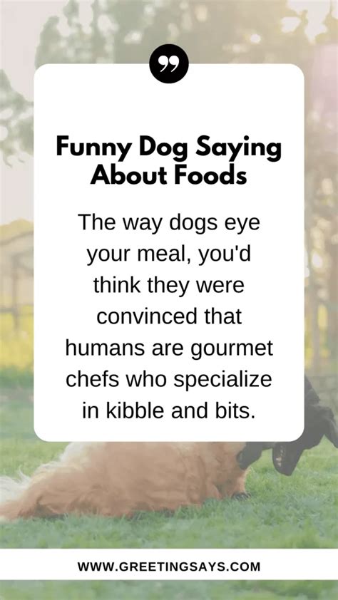 Humorous Dog Food Quotes That Make Us Smile