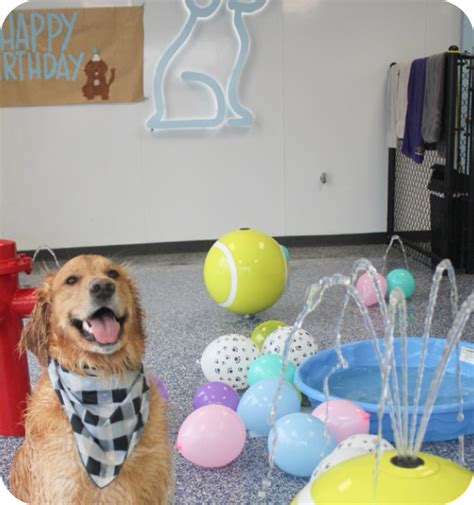 Humphreys Dog Resort