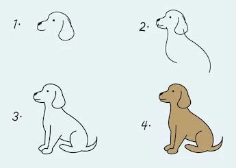 Hund Tegning Nem