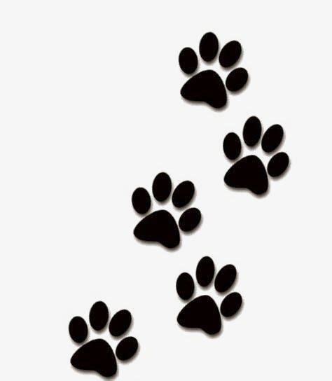 Hunde Pote Tegning