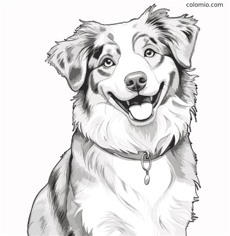 Hunde Tegninger