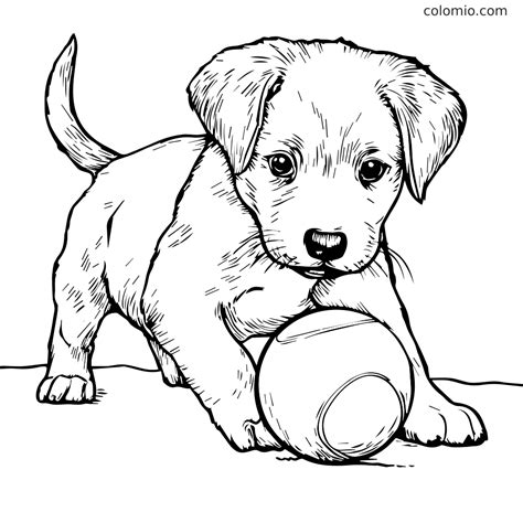 Hunde Tegninger Video