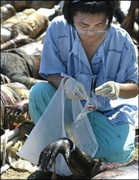 Hundreds of thousands of victims