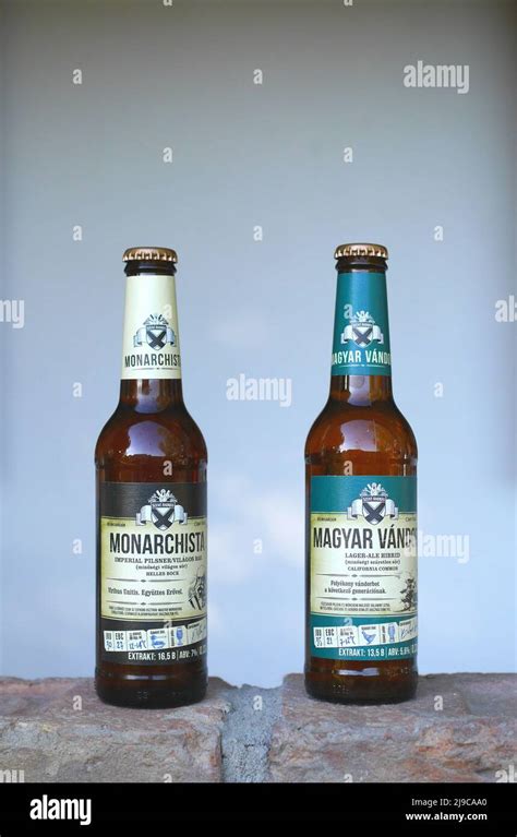 Hungarian Craft Beer Selection