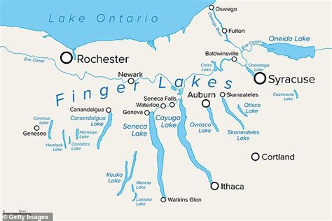 Hunter Biden Back Tattoo