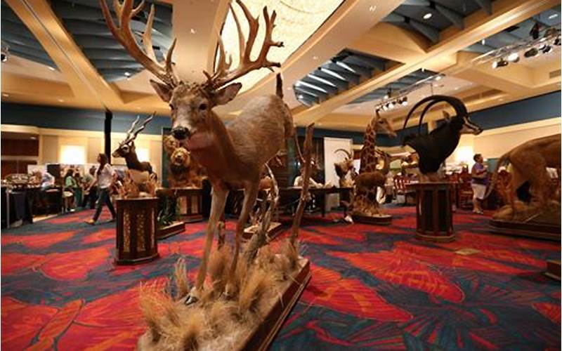 Hunting And Fishing Exhibits