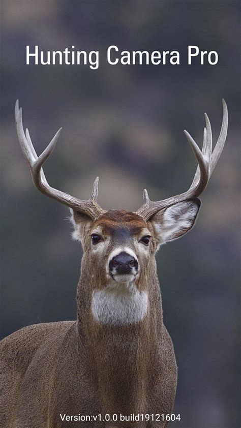 Upgrade Your Hunting Game with Hunting Camera Pro App for Android - The Ultimate Tool for Trail Cameras and Wildlife Monitoring!