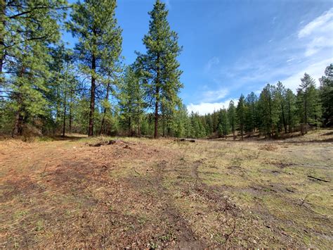Explore the Wilderness: Hunting Property For Sale in Washington State