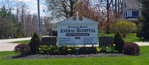 Hunting Ridge Animal Hospital: Caring for Your Beloved Pets with Exceptional Veterinary Services