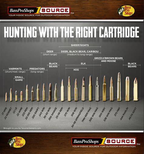 Hunting Rifle Caliber Chart