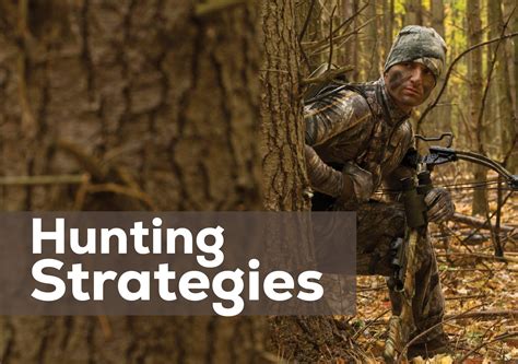 Hunting Strategy
