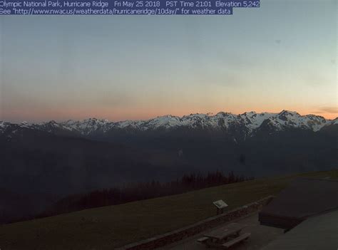Experience the Breathtaking Beauty of Hurricane Ridge with our Live Web Cam Feed