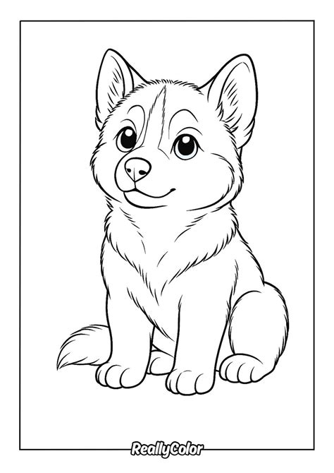 Husky Coloring Page