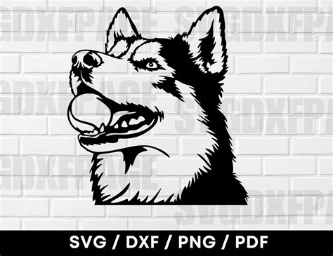 Download Husky Dog Clipart Files DXF Files