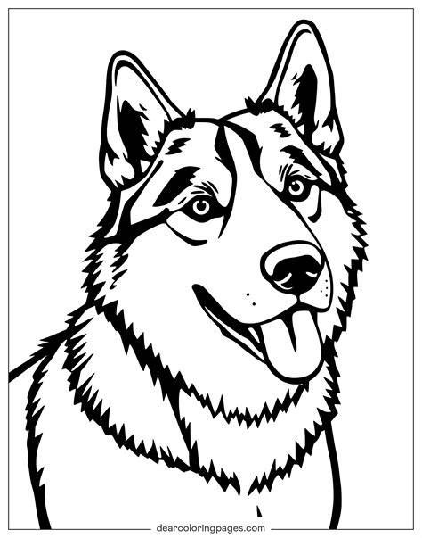 Husky Dog Coloring Pages