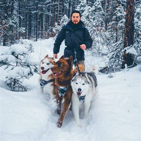 Husky Hiking