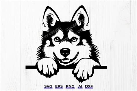 Unleash Your Creativity with Free Husky SVG Designs: Best Collection for DIY Craft & Home decor!