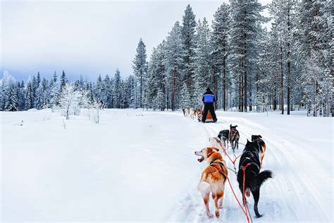 Husky experience tips