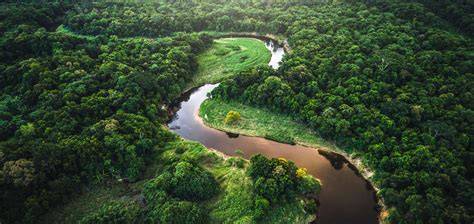 Hutan Hujan Amazon
