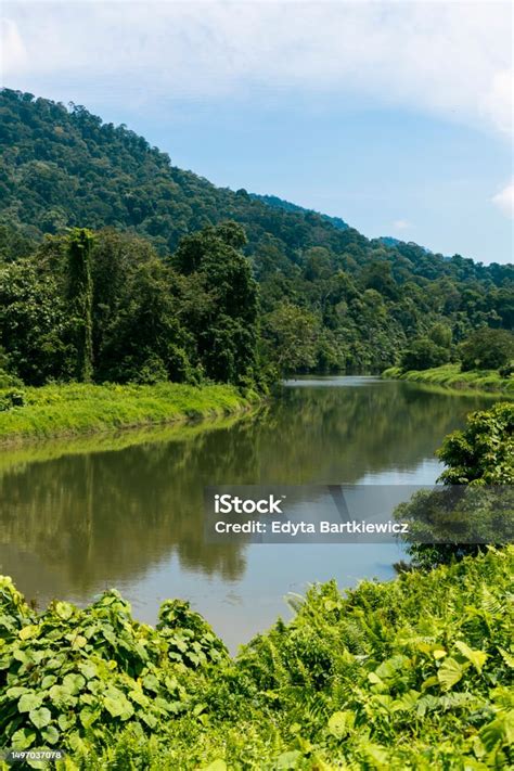 Hutan Hujan Ulu Temburong