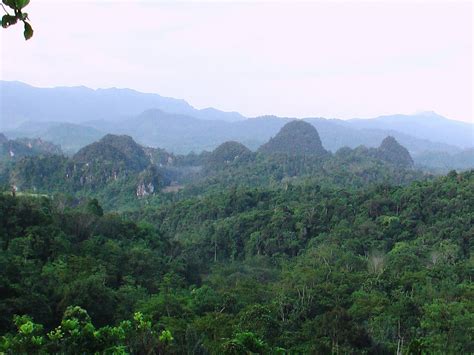 Hutan Rimba Bukit Barisan Selatan Padang