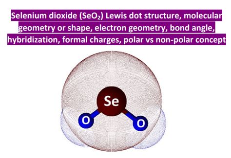 Hybridization in Selenium Dioxide