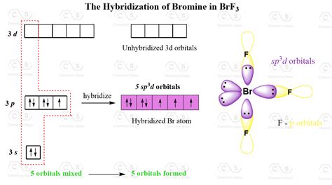 Hybridization of Br2