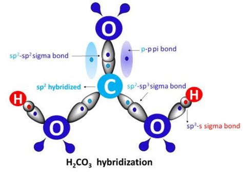 Hybridization of H2CO3 Molecule