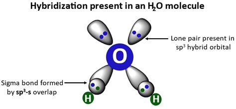Hybridization of H2O molecule