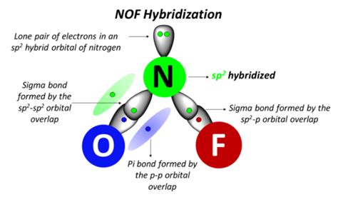 Hybridization of NOF