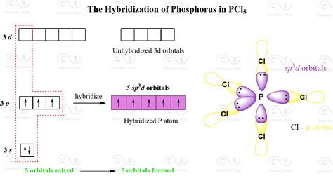 Hybridization of PCl5