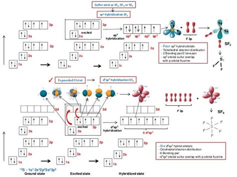 Hybridization of SF2