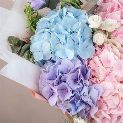 Hydrangea Bouquet FAQ
