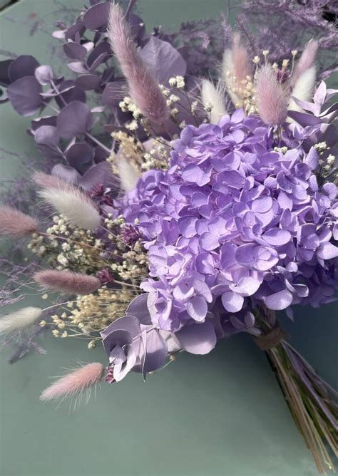 Hydrangea Dried Flower