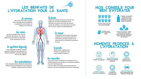 Hydratation et élimination