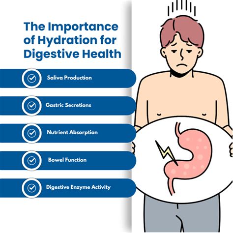 Hydration and Digestive Health