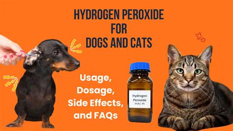 Hydrogen Peroxide Dose For Dogs Chart