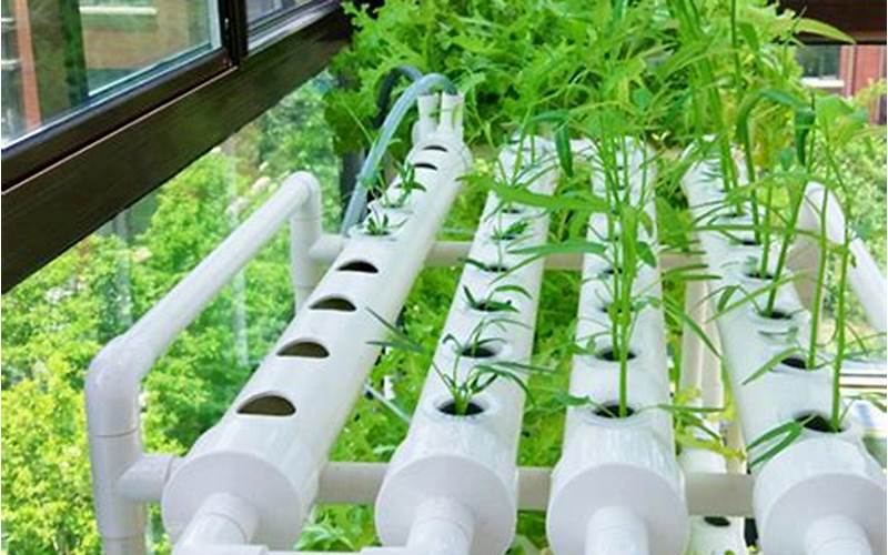 Hydroponic System For Gardening